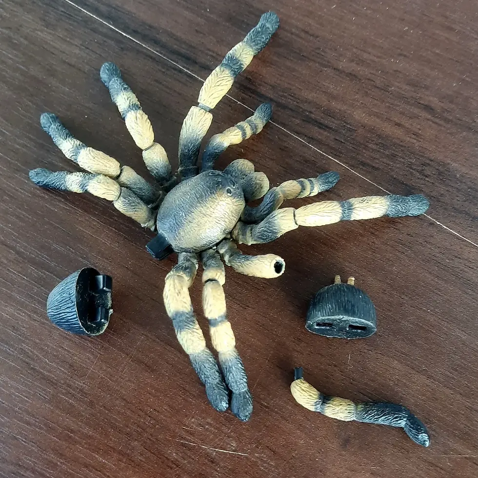 Прев'ю: Іграшка-конструктор Павук-птахоїд