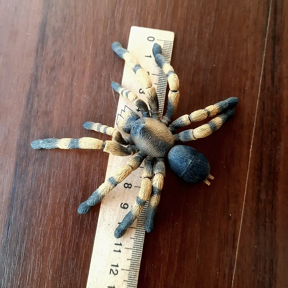 Прев'ю: Іграшка-конструктор Павук-птахоїд