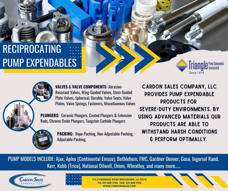 靴 TRIANGLE BASIC PUMPS TR20121S-The-Row-Raffaella-