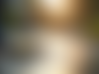 Transform Your Property with Superior Power Washing