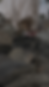 15.png