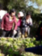 "Flower Blossom" workshop for women