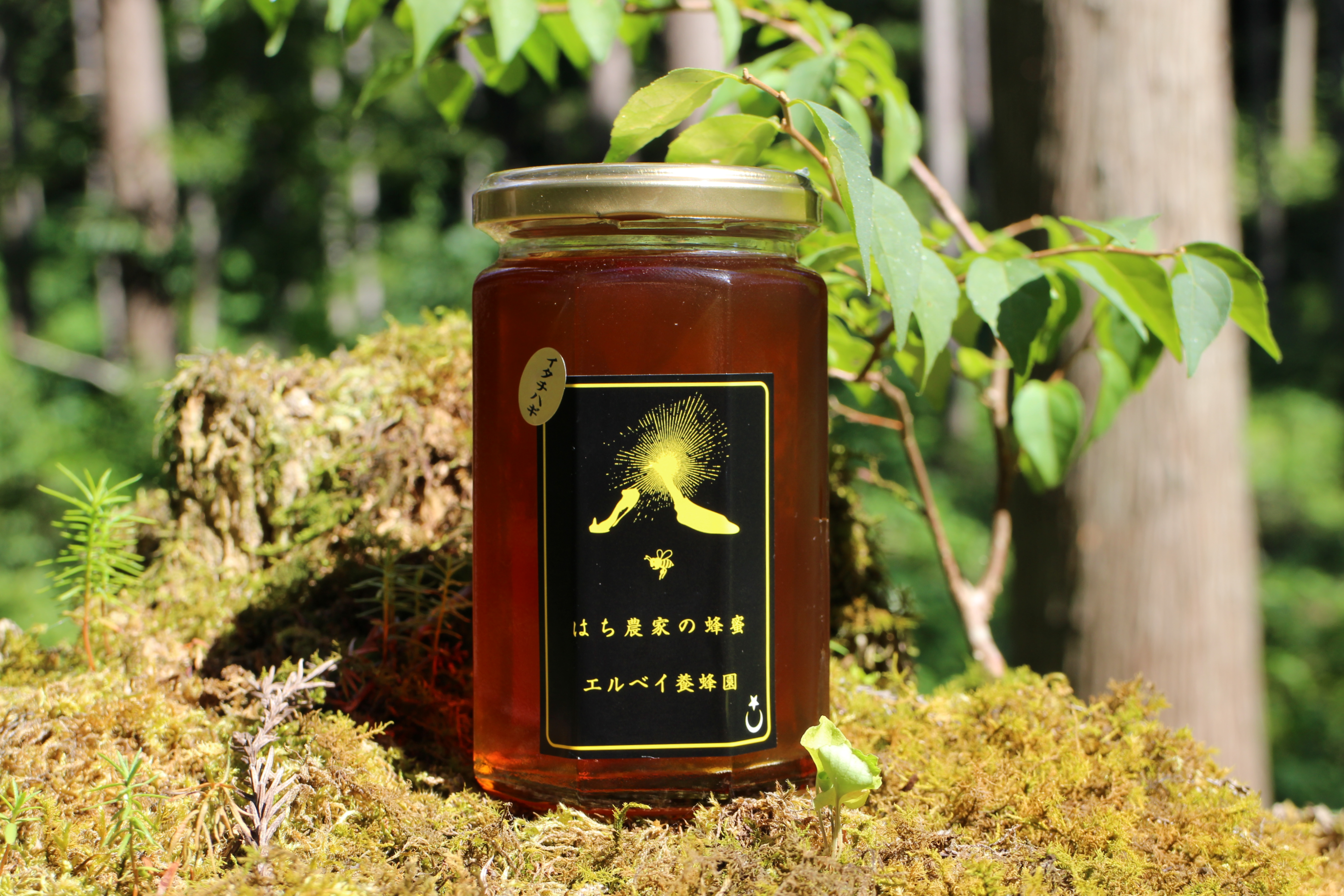 イタチハギの花360g(特別な時用) Indigo bush(Amorf)( For Special Times)