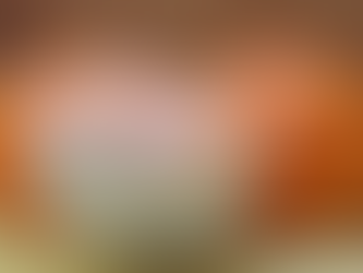 MANDARIN ORANGES/SANTRA