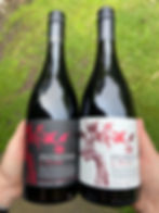 Shiraz2