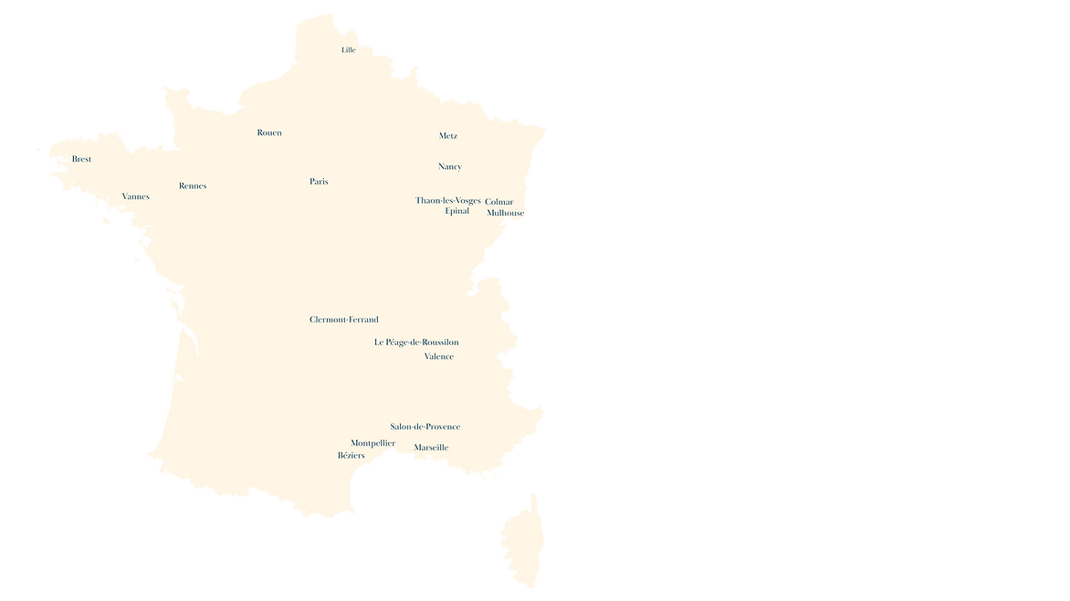 VIDEO FORMATION (1).png