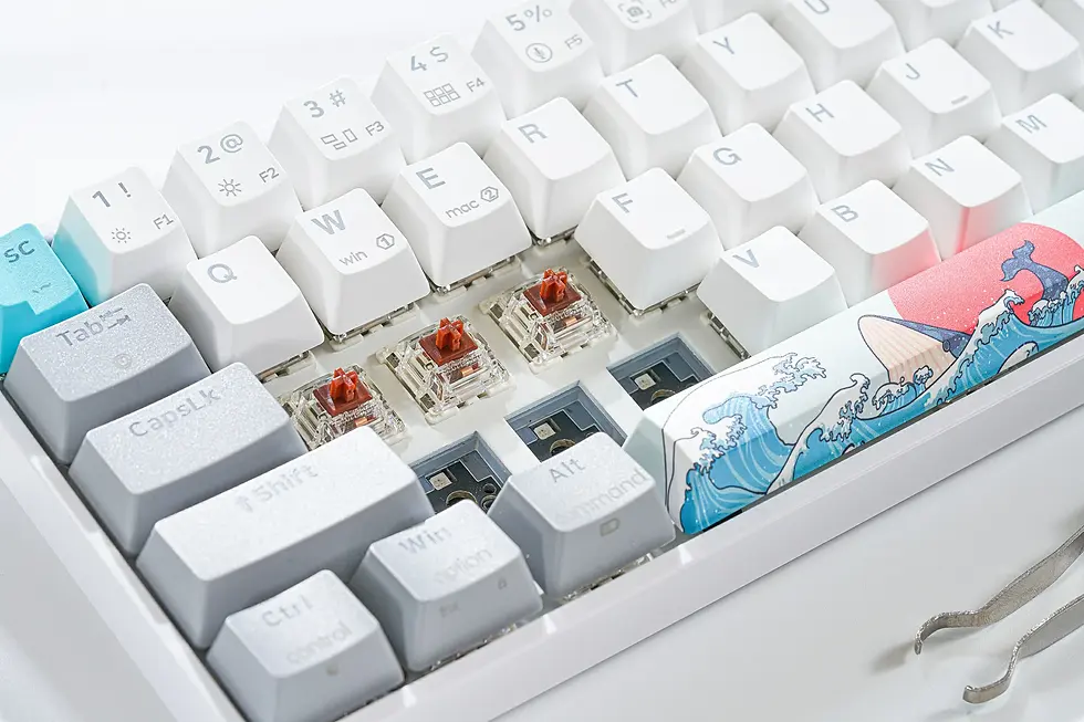 תמונה ממוזערת: SKYLOONG GK68 Coral Sea