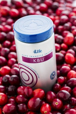KBU (КЭЙ БИ Ю)
