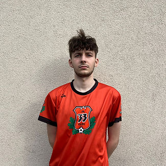 RIMANTS KALVINS STANGA