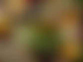 מרינדת עשבי תיבול ירוקה בקערה