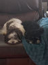 Resized-IMG951955.JPEG