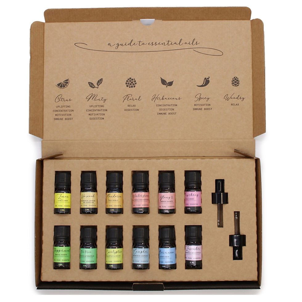 Thumbnail: Aromatherapy Essential Oil Set - Starter Pack 12 Essential Oils 5ml
