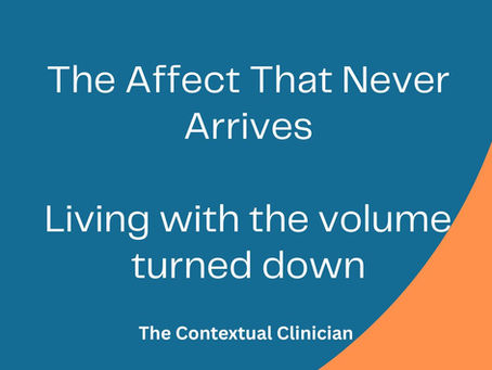 The Affect That Never Arrives; Living With The Volume Turned Down