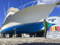 Pettit Vivid Antifouling Paint