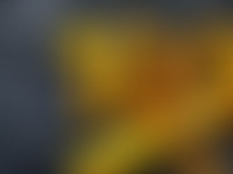 100 ימים למלחמה ולשבי