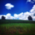 Farm Bureau Dinner - Chamber Monthly Meeting
