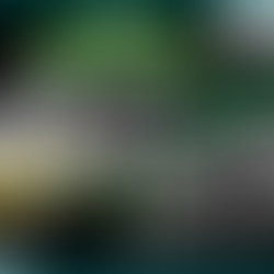 Beating The Book Christmas Day