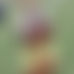 NFL Picks: NFL Week 3 Player Props To Target