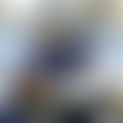 FanDuel Fantasy Football: Wild-Card