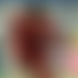 World Cup Best Bets: Picks, Odds and Predictions for Qatar vs. Ecuador