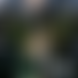 Fontaines 5 College Football Week 5 Breakdown