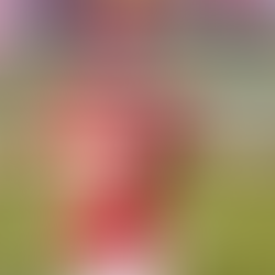 Monday Night Football Picks: