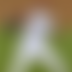 MLB Picks: MLB Bets and Player Props for Sunday, August 28