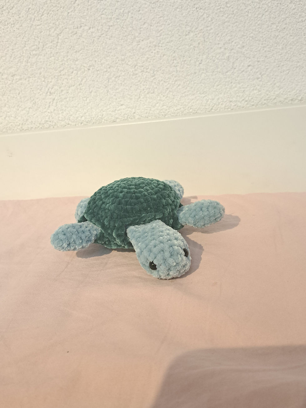 Miniaturbild: Schildkröte