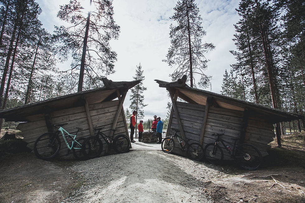 Syöte_Maarit_Vaahteranoksa (15).jpg