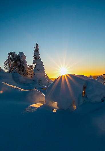 Syöte auringonnousu