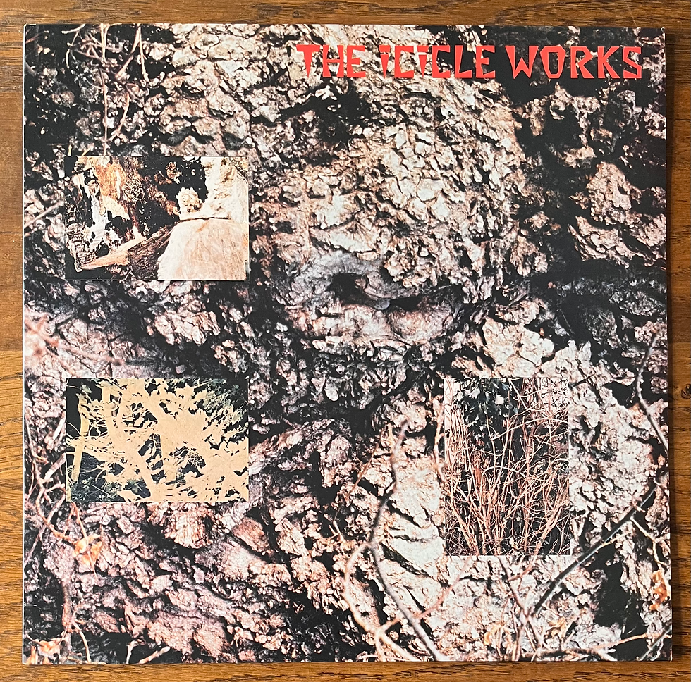 THE ICICLE WORKS - The Icicle Works