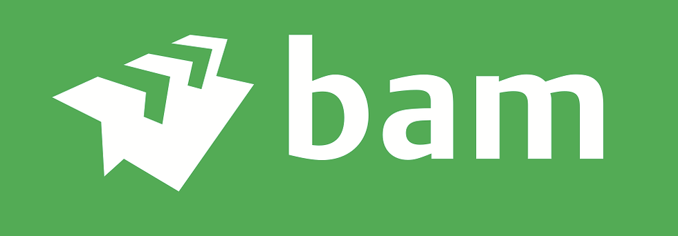 Bam Nuttall logo