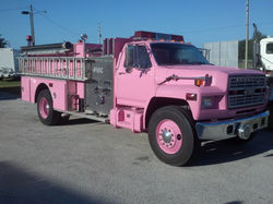 Pink Truck 1