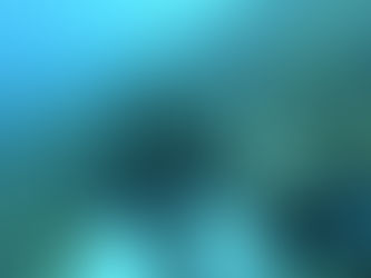 The Beginning of an Odyssey.