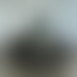 We have now parted a 2021 Polaris XP 1000!