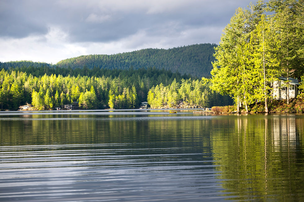 shoreline-0361.jpg