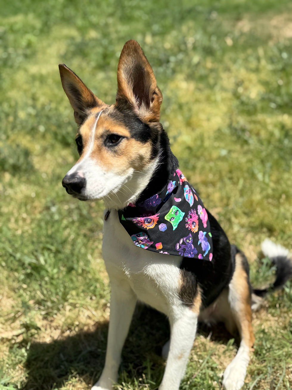 Thumbnail: Dog Bandana