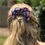 Thumbnail: Jumbo Scrunchie
