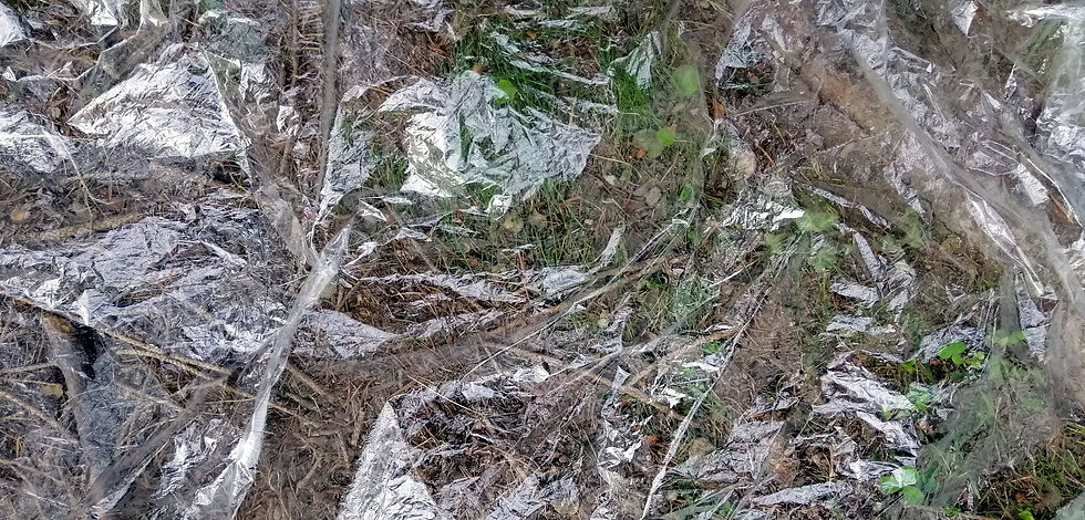 IMG_20200520_192752_edited