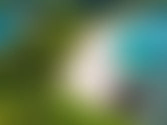 COSTA RICA PLAYAS DE ENCANTO