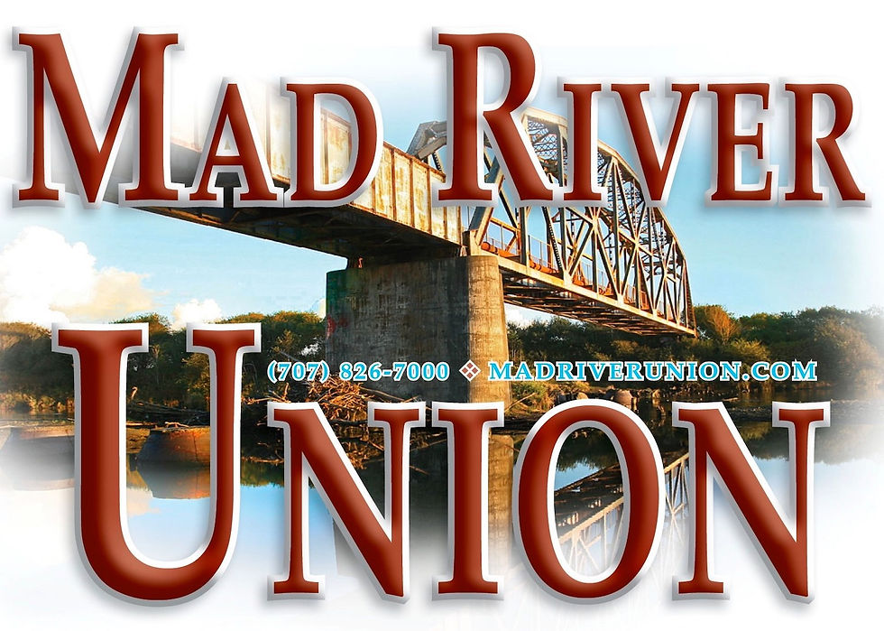Union logo.jpeg