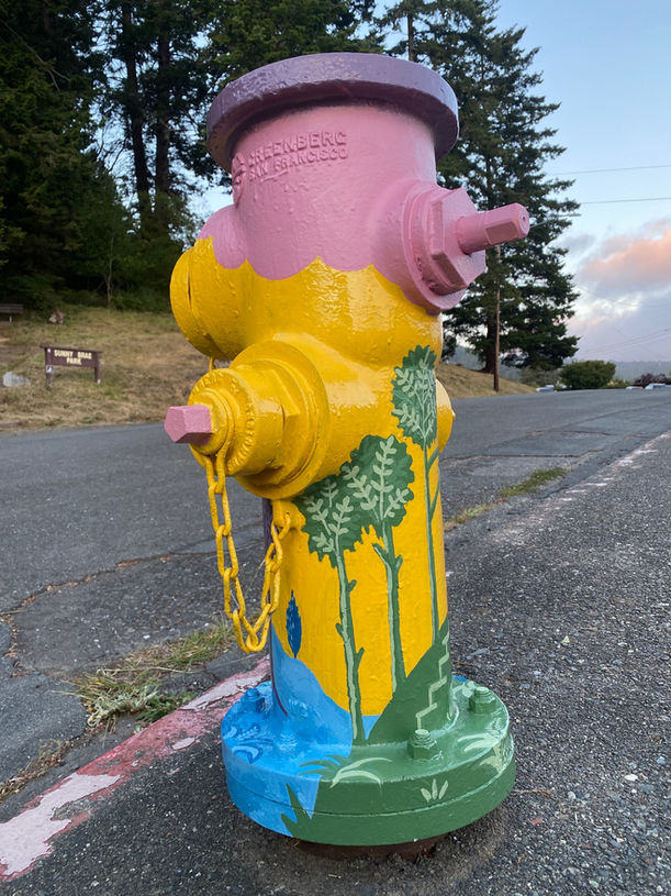 Hydrant art by Liz Valasco