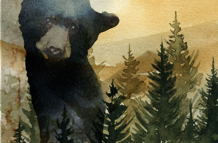 Arcata Playhouse, family-friendly theater production in Arcata, California.