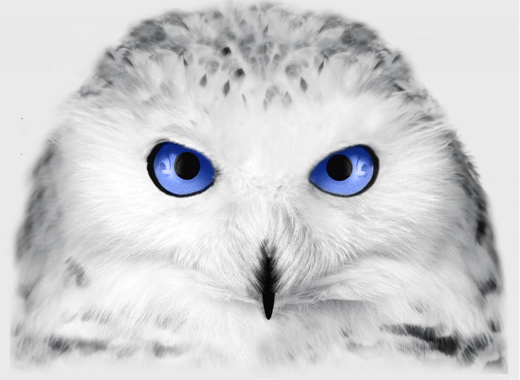 Superbe illustration réalisée par Sophie Lemelin. Société Saint-Jean-Baptiste du Centre-du-Québec. Publiée dans le journal l'Express.*