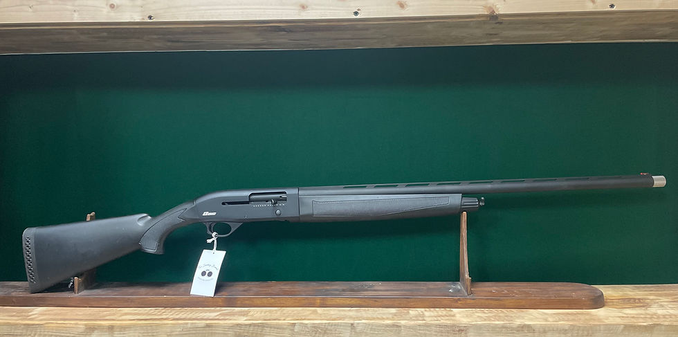 Thumbnail: Armsan A612 12 Gauge Semi-Auto Shotgun