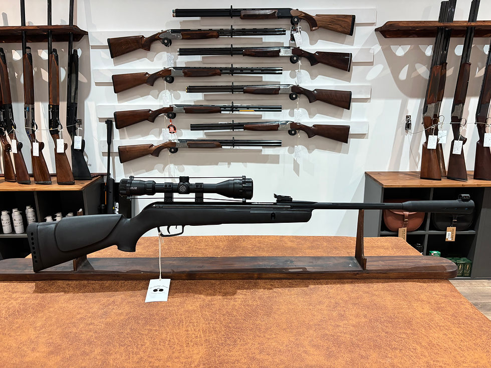 Gamo Whisper Sting .177/.22 Break Barrel Air Rifle