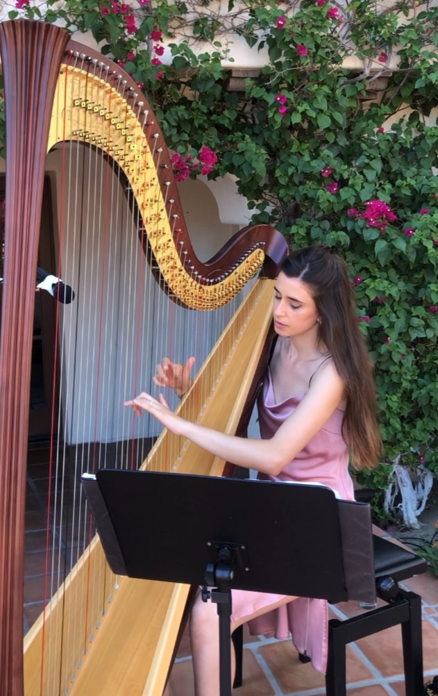 Harp available with DJ Pooya wedding entertainment