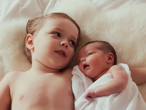 Wiring the Infant Brain: The Neuroscience of Essential Vitamins