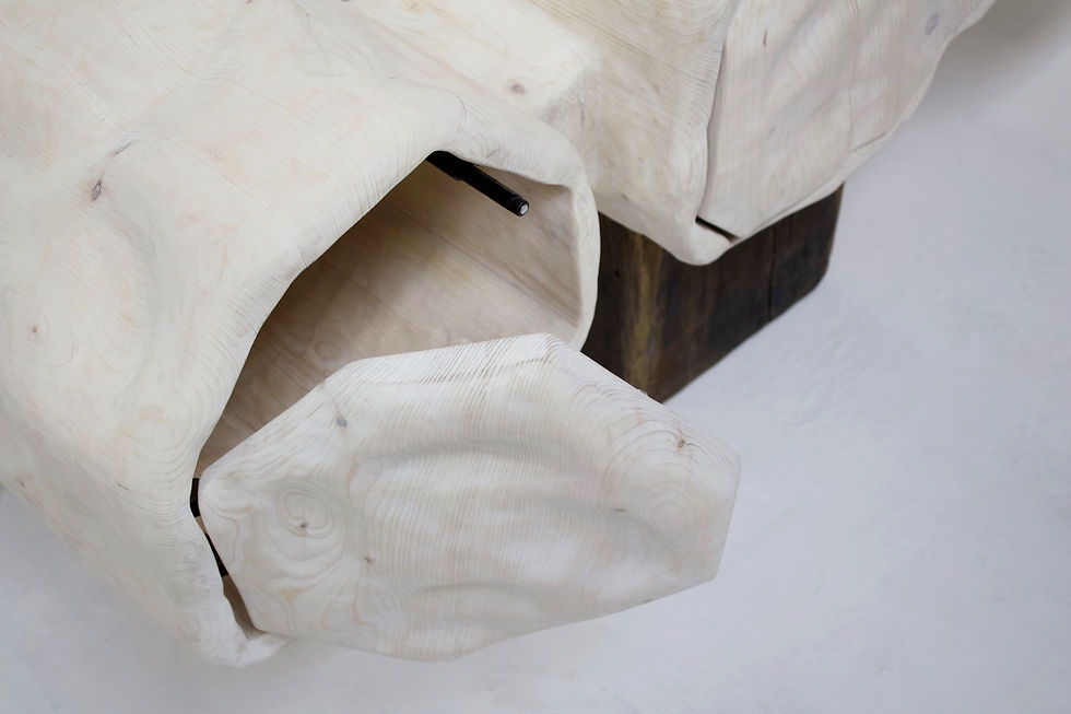 Thumbnail: Carpalla