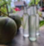 Coconut water